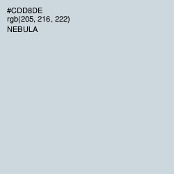 #CDD8DE - Nebula Color Image