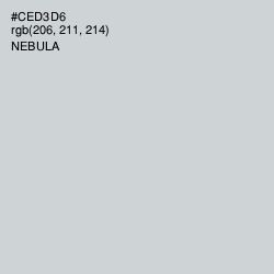 #CED3D6 - Nebula Color Image