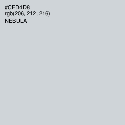 #CED4D8 - Nebula Color Image