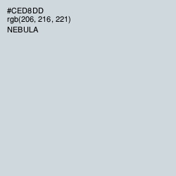 #CED8DD - Nebula Color Image
