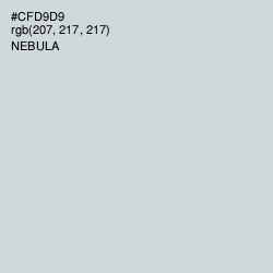 #CFD9D9 - Nebula Color Image