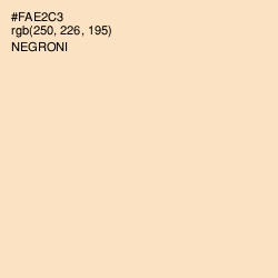 #FAE2C3 - Negroni Color Image