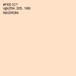 #FEE1C7 - Negroni Color Image