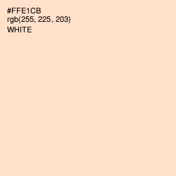 #FFE1CB - Negroni Color Image