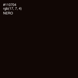 #110704 - Nero Color Image