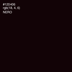 #120406 - Nero Color Image