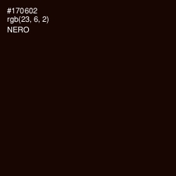 #170602 - Nero Color Image