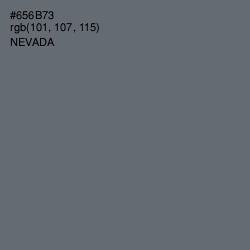 #656B73 - Nevada Color Image