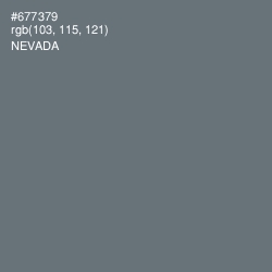#677379 - Nevada Color Image