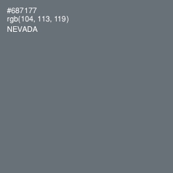#687177 - Nevada Color Image