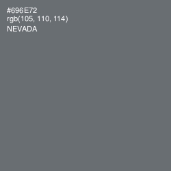 #696E72 - Nevada Color Image
