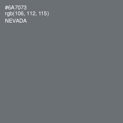 #6A7073 - Nevada Color Image