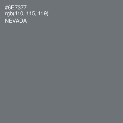 #6E7377 - Nevada Color Image