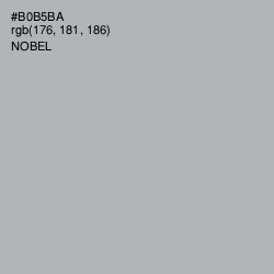 #B0B5BA - Nobel Color Image