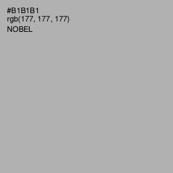 #B1B1B1 - Nobel Color Image