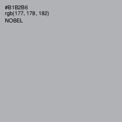 #B1B2B6 - Nobel Color Image