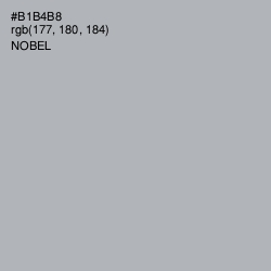 #B1B4B8 - Nobel Color Image