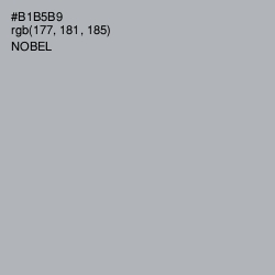 #B1B5B9 - Nobel Color Image