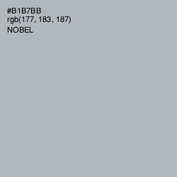 #B1B7BB - Nobel Color Image