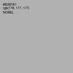 #B2B1B1 - Nobel Color Image