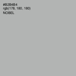 #B2B4B4 - Nobel Color Image