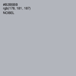 #B2B5BB - Nobel Color Image