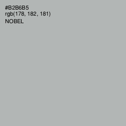 #B2B6B5 - Nobel Color Image