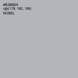 #B2B6BA - Nobel Color Image