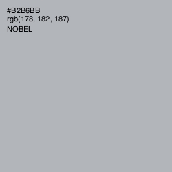 #B2B6BB - Nobel Color Image