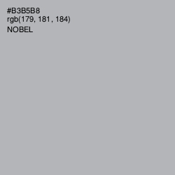 #B3B5B8 - Nobel Color Image