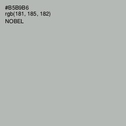 #B5B9B6 - Nobel Color Image
