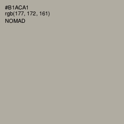 #B1ACA1 - Nomad Color Image