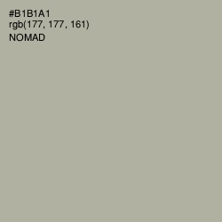 #B1B1A1 - Nomad Color Image