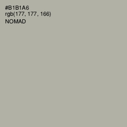 #B1B1A6 - Nomad Color Image