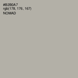 #B2B0A7 - Nomad Color Image