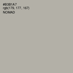 #B3B1A7 - Nomad Color Image