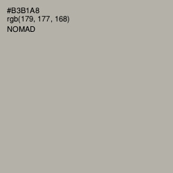 #B3B1A8 - Nomad Color Image