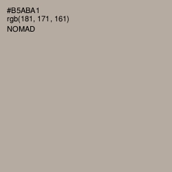 #B5ABA1 - Nomad Color Image