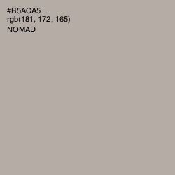#B5ACA5 - Nomad Color Image