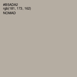 #B5ADA2 - Nomad Color Image