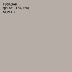 #B5ADA6 - Nomad Color Image