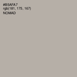 #B5AFA7 - Nomad Color Image