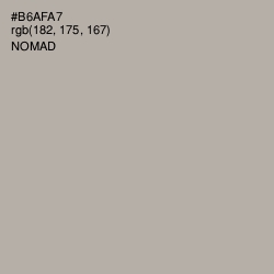 #B6AFA7 - Nomad Color Image