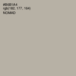 #B6B1A4 - Nomad Color Image