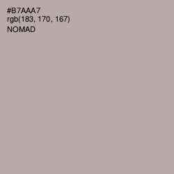#B7AAA7 - Nomad Color Image