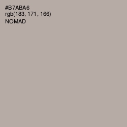 #B7ABA6 - Nomad Color Image