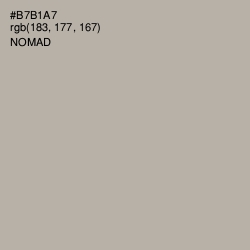#B7B1A7 - Nomad Color Image