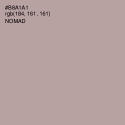 #B8A1A1 - Nomad Color Image