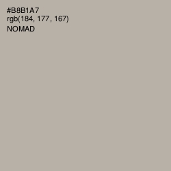 #B8B1A7 - Nomad Color Image