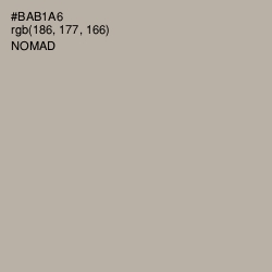 #BAB1A6 - Nomad Color Image